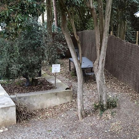 Au Vieux Lavoir Avec Parking Prive, Jardin , Climatisation, A 500 M De La Cite 카르카손 외부 사진