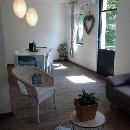 Au Vieux Lavoir Avec Parking Prive, Jardin , Climatisation, A 500 M De La Cite 카르카손 외부 사진