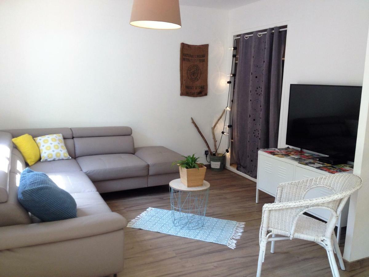 Au Vieux Lavoir Avec Parking Prive, Jardin , Climatisation, A 500 M De La Cite 카르카손 외부 사진