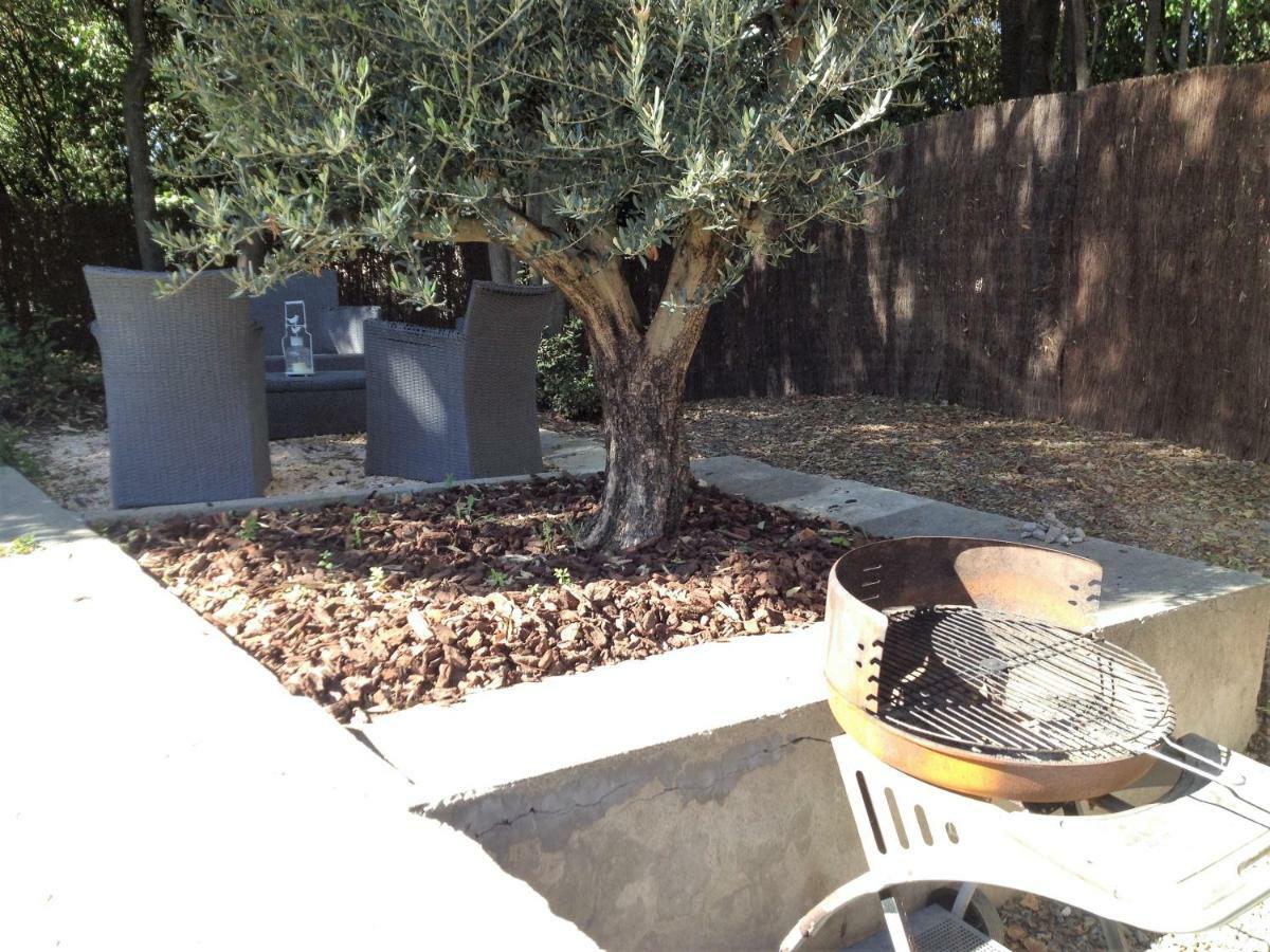 Au Vieux Lavoir Avec Parking Prive, Jardin , Climatisation, A 500 M De La Cite 카르카손 외부 사진