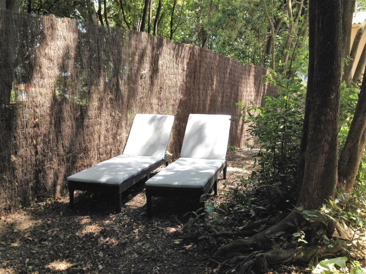 Au Vieux Lavoir Avec Parking Prive, Jardin , Climatisation, A 500 M De La Cite 카르카손 외부 사진