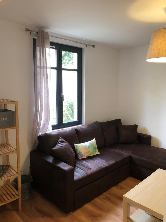 Au Vieux Lavoir Avec Parking Prive, Jardin , Climatisation, A 500 M De La Cite 카르카손 외부 사진